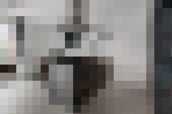 Hoevesteinse Lint 1 d Hoef en Haag thumbnail 7