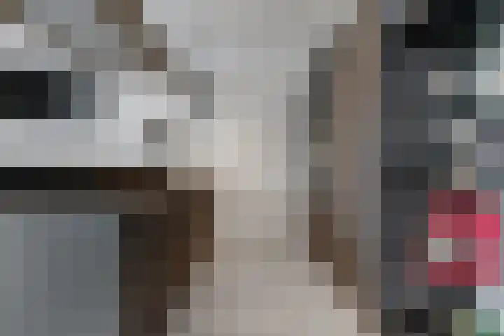 Hoevesteinse Lint 1 d Hoef en Haag thumbnail 8