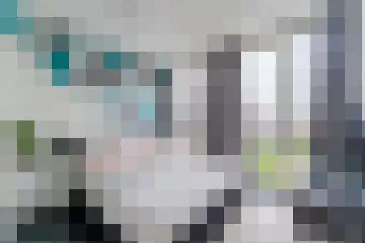 Hoevesteinse Lint 1 j Hoef en Haag thumbnail 19