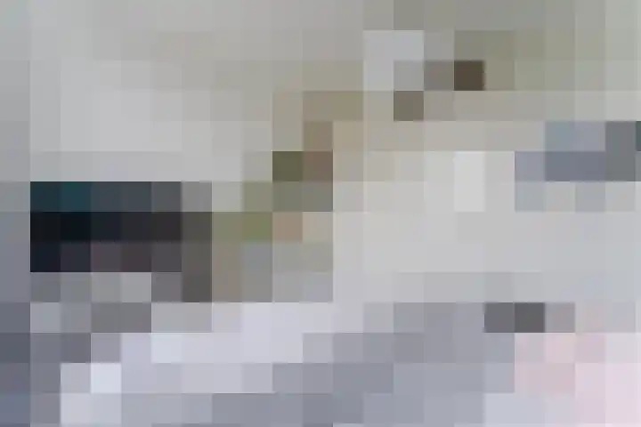 Hoevesteinse Lint 1 j Hoef en Haag thumbnail 21