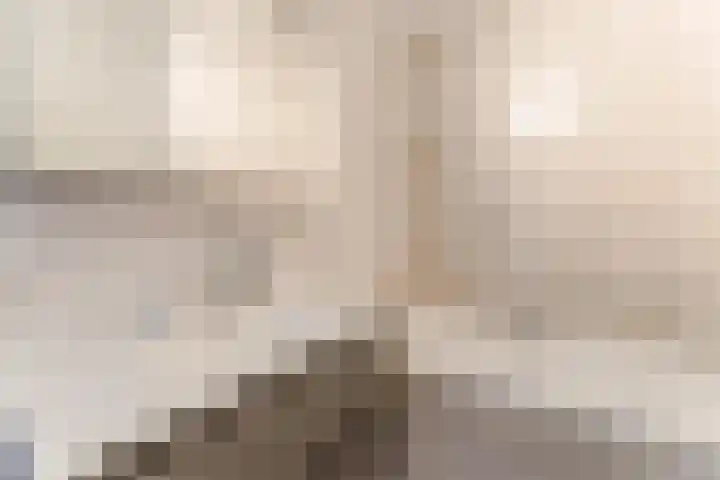 Hoevesteinse Lint 1 j Hoef en Haag thumbnail 26