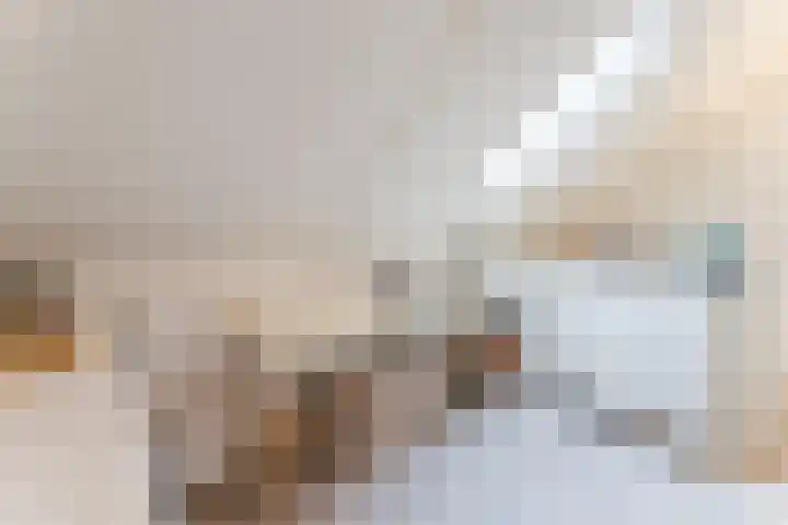 Hoevesteinse Lint 1 j Hoef en Haag thumbnail 36