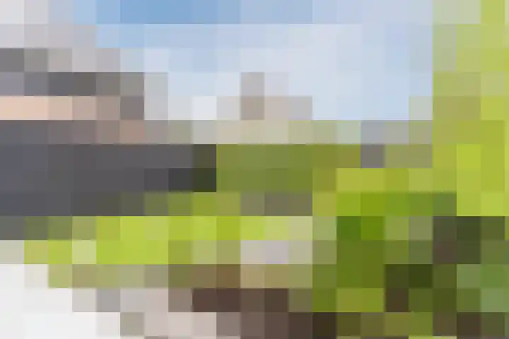 Hoevesteinse Lint 1 j Hoef en Haag thumbnail 38