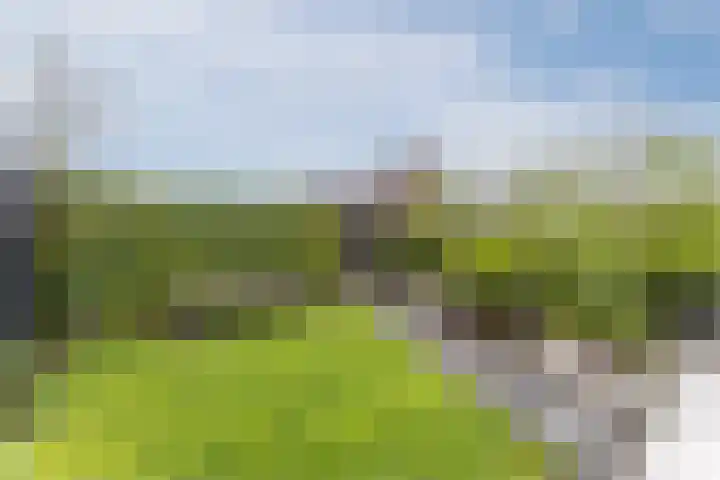 Hoevesteinse Lint 1 j Hoef en Haag thumbnail 39
