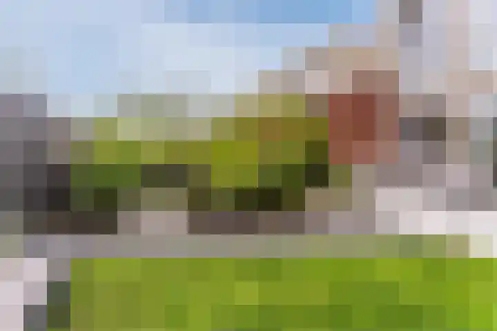 Hoevesteinse Lint 1 j Hoef en Haag thumbnail 40