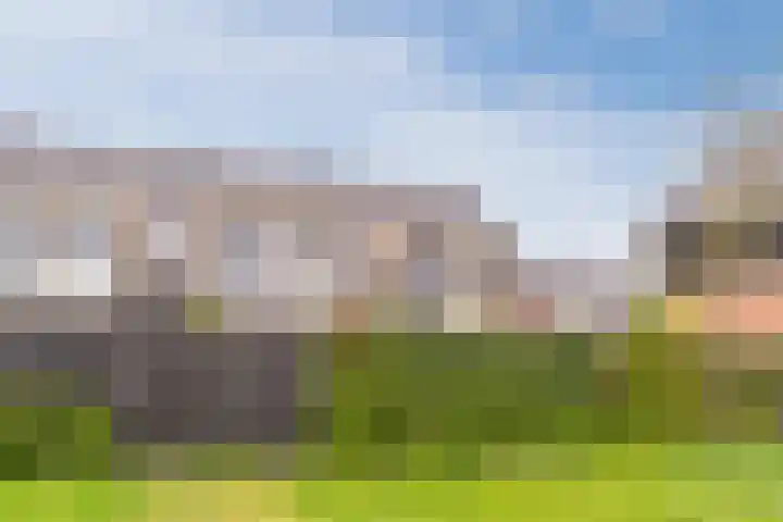 Hoevesteinse Lint 1 j Hoef en Haag thumbnail 42