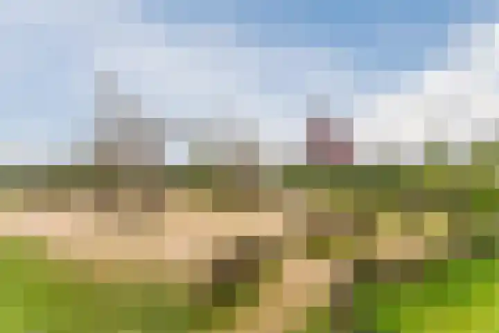 Hoevesteinse Lint 1 j Hoef en Haag thumbnail 44