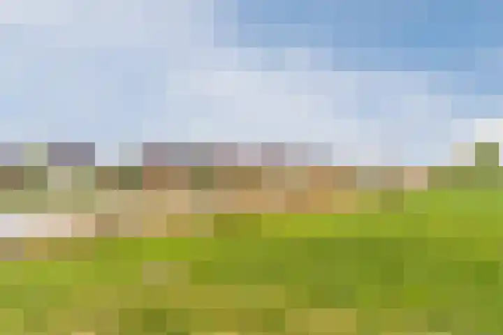 Hoevesteinse Lint 1 j Hoef en Haag thumbnail 45