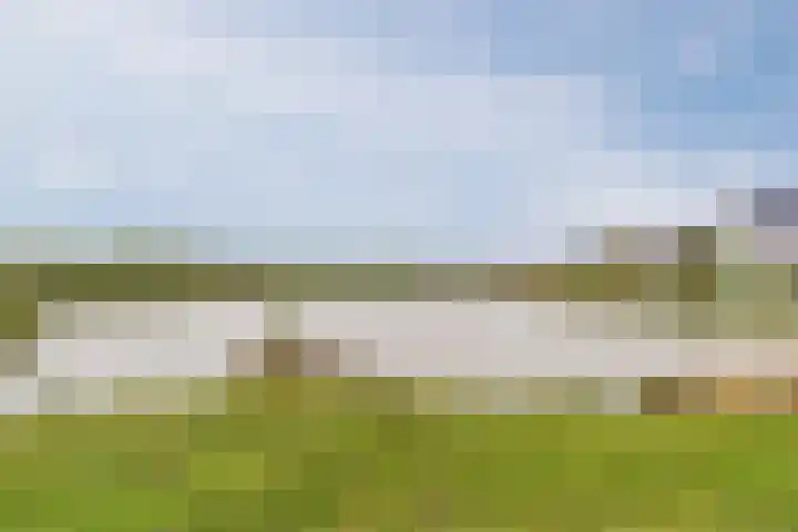 Hoevesteinse Lint 1 j Hoef en Haag thumbnail 46