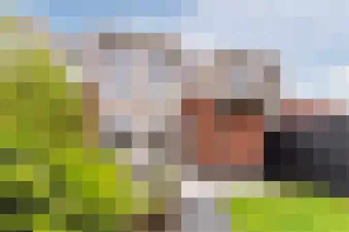Hoevesteinse Lint 1 j Hoef en Haag thumbnail 47