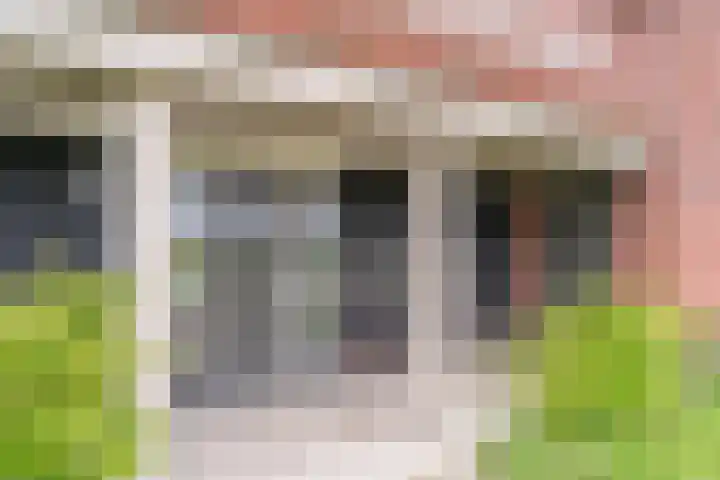 Hoevesteinse Lint 1 j Hoef en Haag thumbnail 5