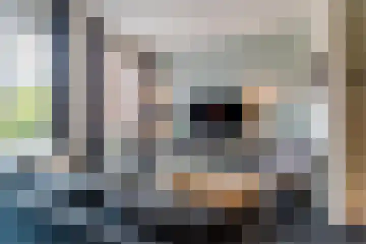 Hoevesteinse Lint 1 j Hoef en Haag thumbnail 7