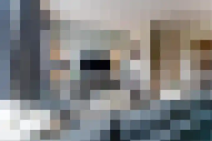 Hoevesteinse Lint 1 j Hoef en Haag thumbnail 8