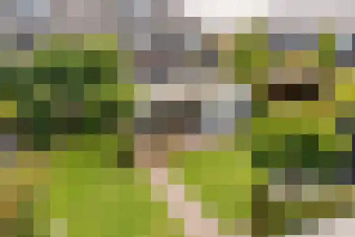 Hoevesteinse Lint 16 Hoef en Haag thumbnail 34