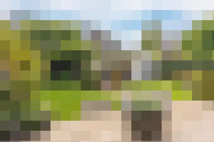 Hoevesteinse Lint 16 Hoef en Haag thumbnail 35
