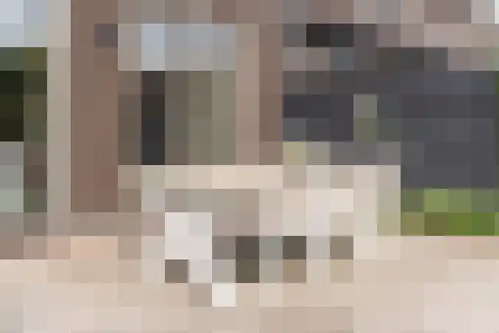 Hoevesteinse Lint 16 Hoef en Haag thumbnail 37