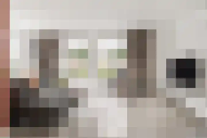 Hoevesteinse Lint 16 Hoef en Haag thumbnail 4