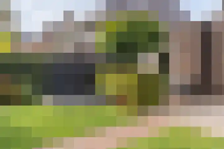 Hoevesteinse Lint 16 Hoef en Haag thumbnail 40