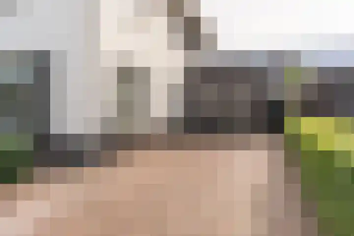 Hoevesteinse Lint 16 Hoef en Haag thumbnail 41
