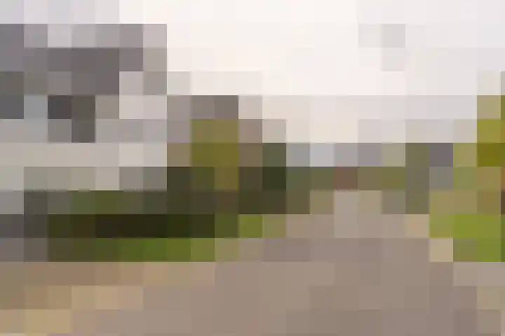Hoevesteinse Lint 16 Hoef en Haag thumbnail 43
