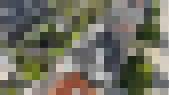 Hoevesteinse Lint 16 Hoef en Haag thumbnail 46