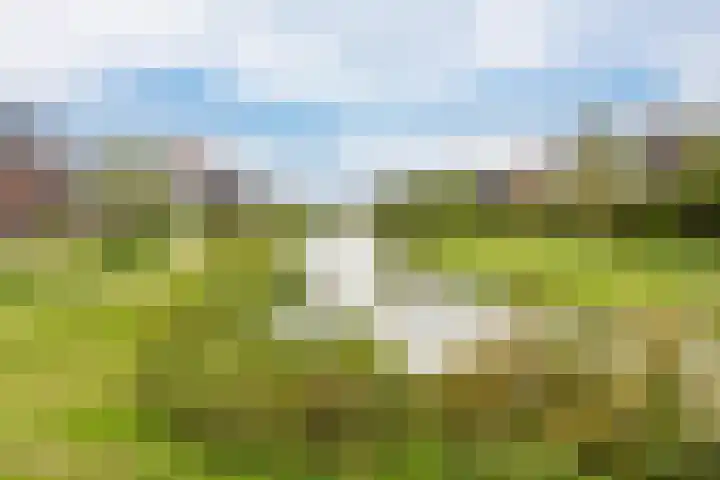 Hoevesteinse Lint 16 Hoef en Haag thumbnail 47