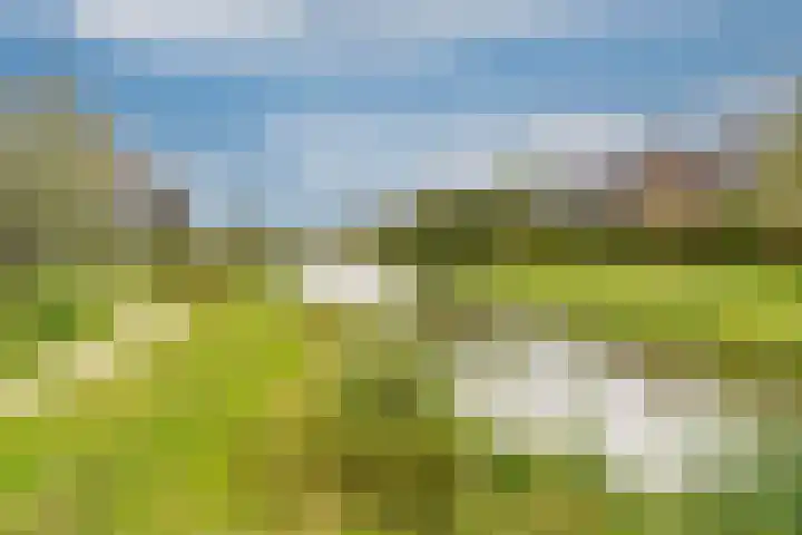 Hoevesteinse Lint 16 Hoef en Haag thumbnail 48