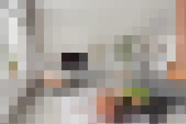 Hoevesteinse Lint 16 Hoef en Haag thumbnail 8