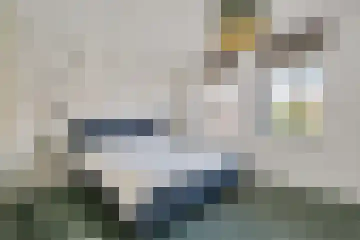 Hoevesteinse Lint 4 Hoef en Haag thumbnail 11