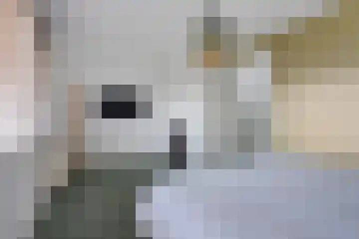 Hoevesteinse Lint 4 Hoef en Haag thumbnail 12