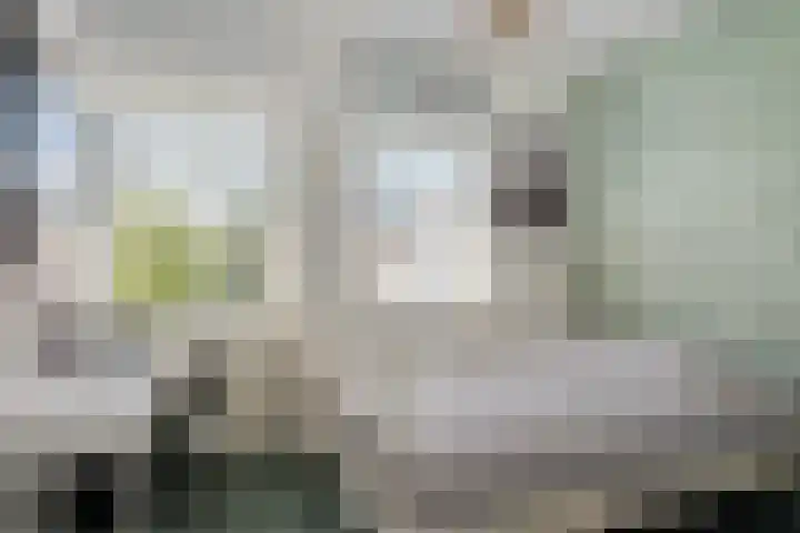 Hoevesteinse Lint 4 Hoef en Haag thumbnail 13