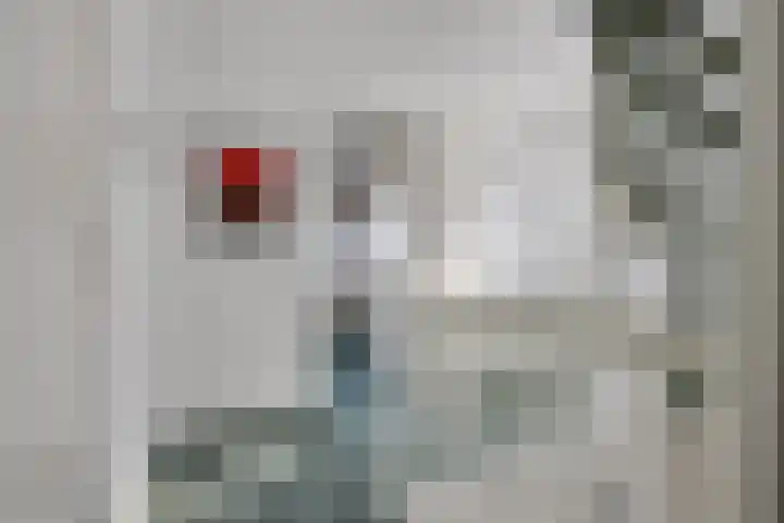Hoevesteinse Lint 4 Hoef en Haag thumbnail 19