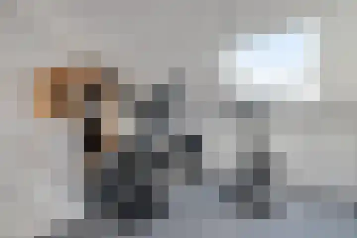 Hoevesteinse Lint 4 Hoef en Haag thumbnail 21