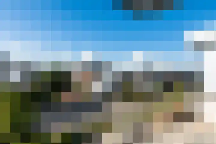 Hoevesteinse Lint 4 Hoef en Haag thumbnail 22