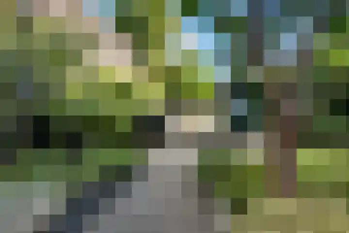 Hoevesteinse Lint 4 Hoef en Haag thumbnail 23