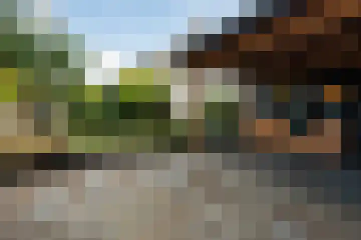Hoevesteinse Lint 4 Hoef en Haag thumbnail 24