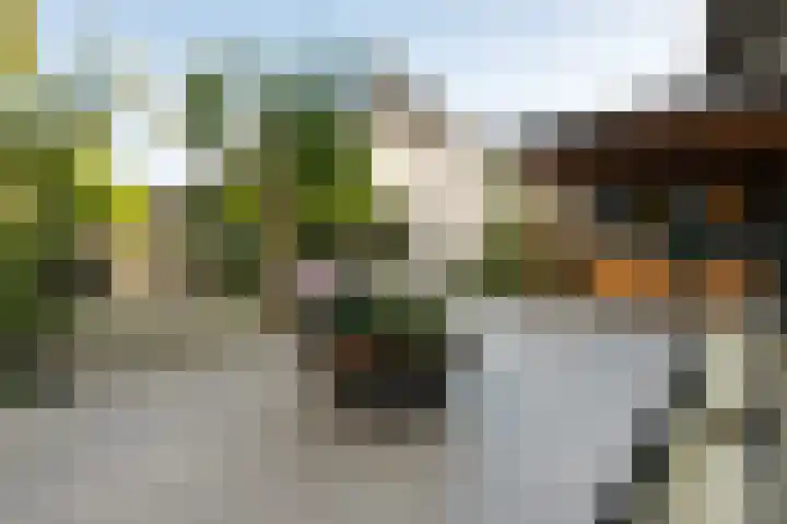 Hoevesteinse Lint 4 Hoef en Haag thumbnail 25