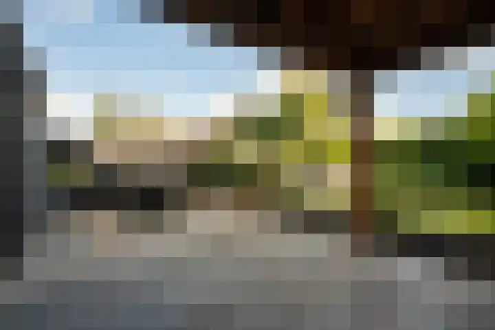 Hoevesteinse Lint 4 Hoef en Haag thumbnail 26
