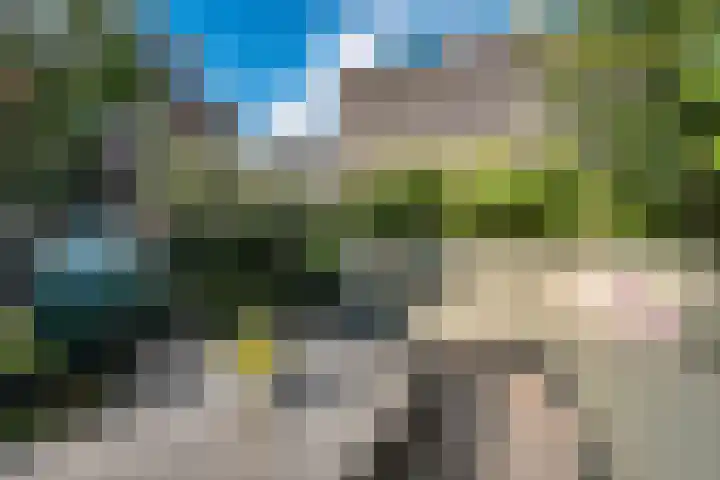 Hoevesteinse Lint 4 Hoef en Haag thumbnail 27