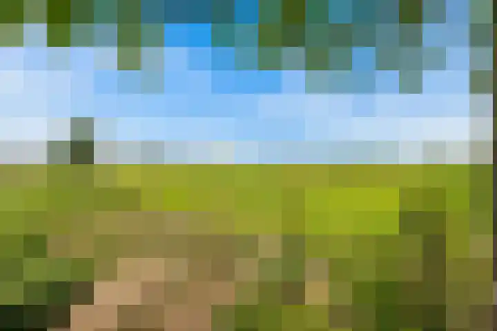 Hoevesteinse Lint 4 Hoef en Haag thumbnail 31