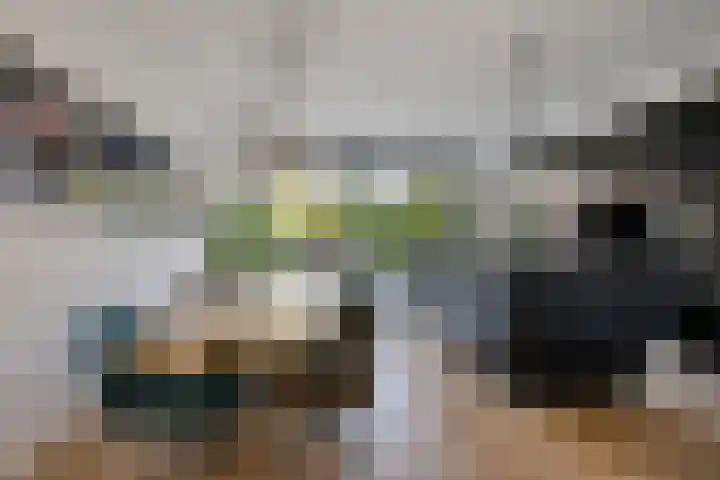 Hoevesteinse Lint 4 Hoef en Haag thumbnail 5