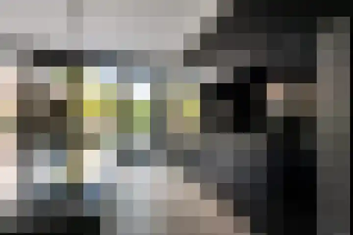 Hoevesteinse Lint 4 Hoef en Haag thumbnail 6