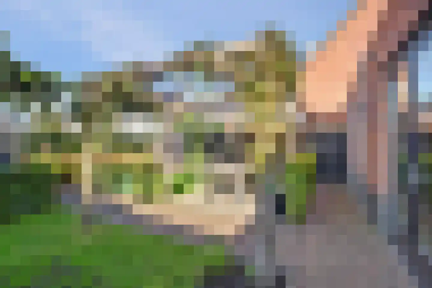 Hoevesteinse Lint 51 Hoef en Haag thumbnail 42