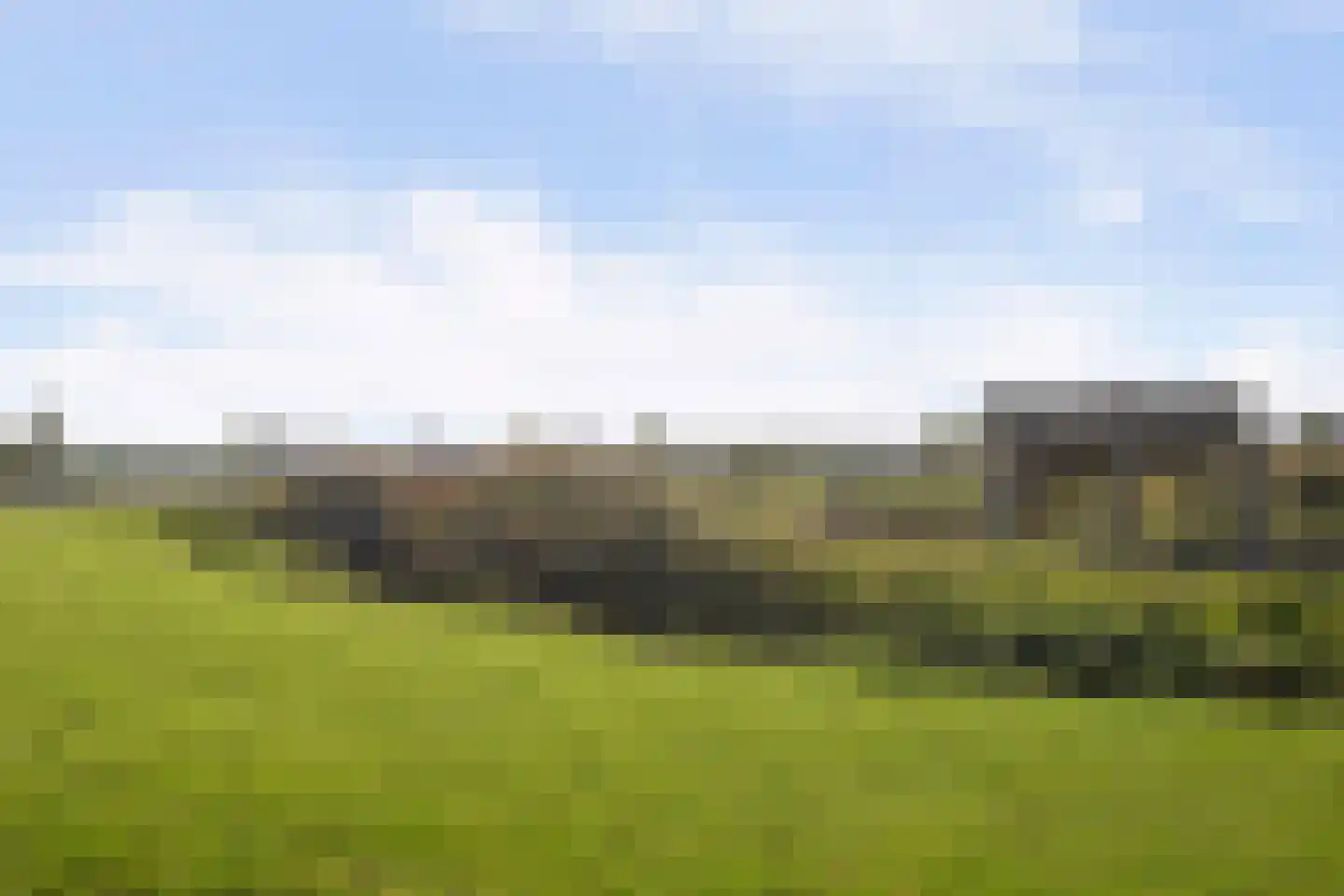 Hoevesteinse Lint 51 Hoef en Haag thumbnail 51