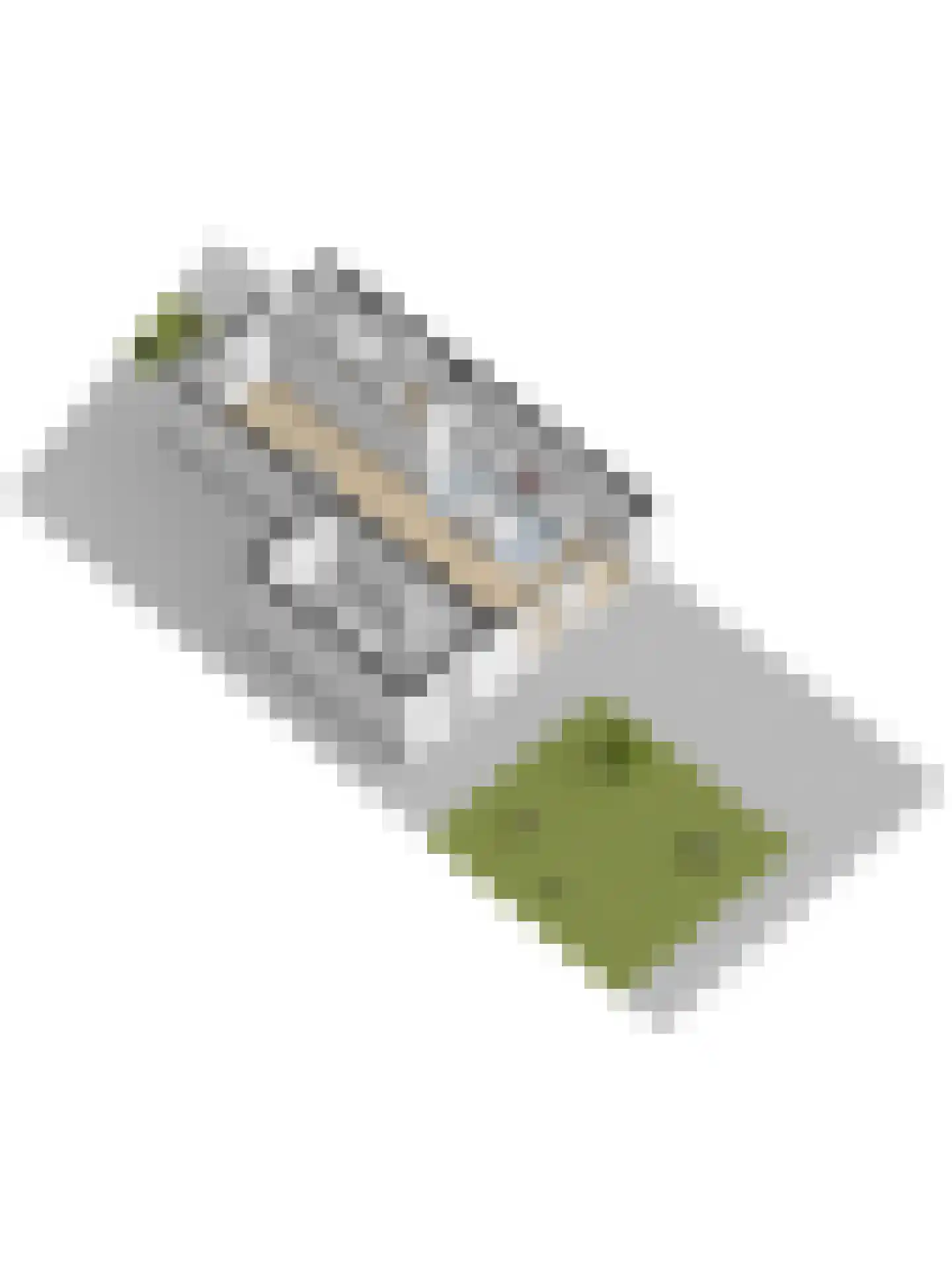 Hoevesteinse Lint 51 Hoef en Haag thumbnail 62