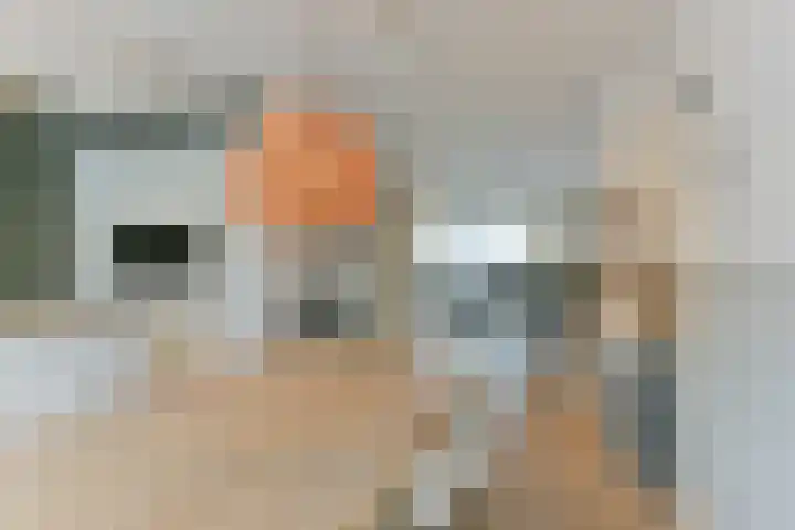 Hoevesteinse Lint 8 Hoef en Haag thumbnail 11