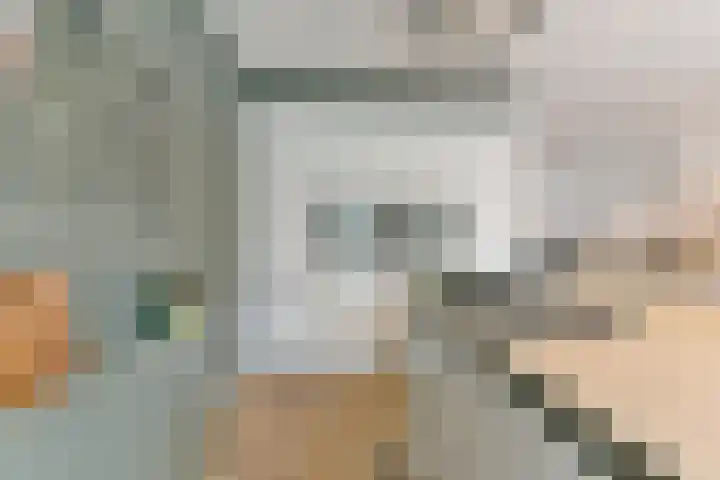 Hoevesteinse Lint 8 Hoef en Haag thumbnail 15