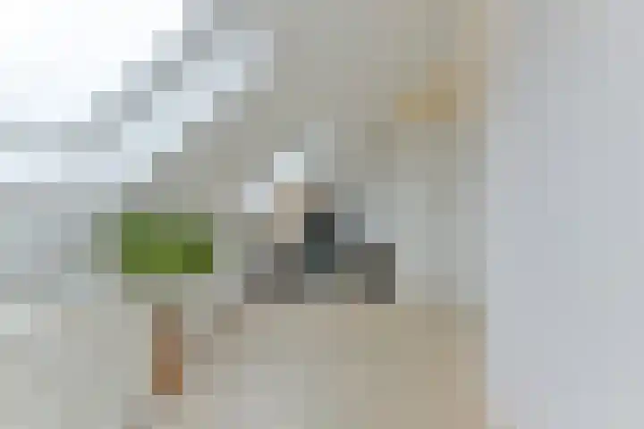 Hoevesteinse Lint 8 Hoef en Haag thumbnail 38