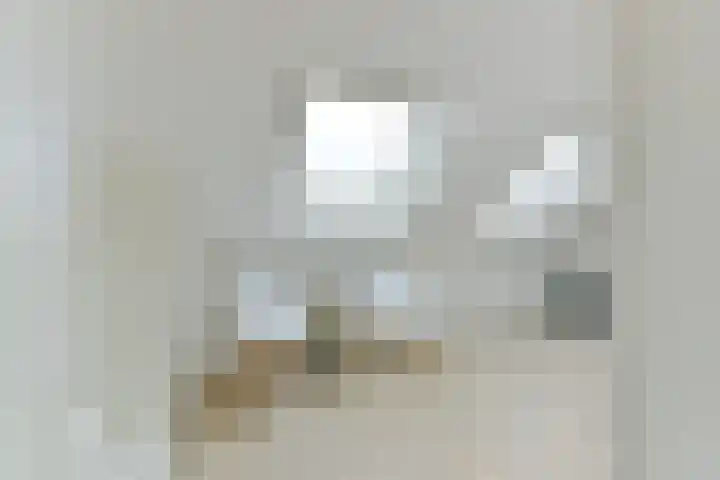 Hoevesteinse Lint 8 Hoef en Haag thumbnail 39