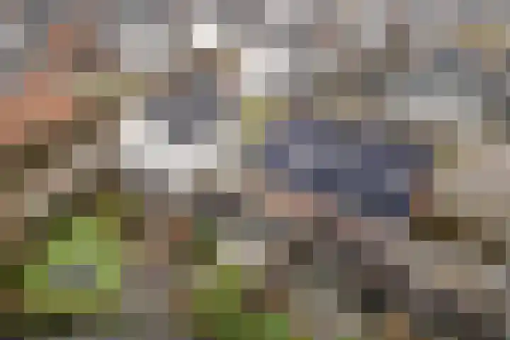 Hoevesteinse Lint 8 Hoef en Haag thumbnail 47